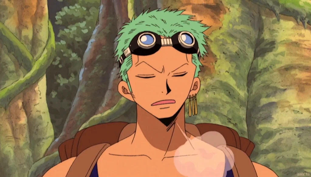 zoro in skypiea arc